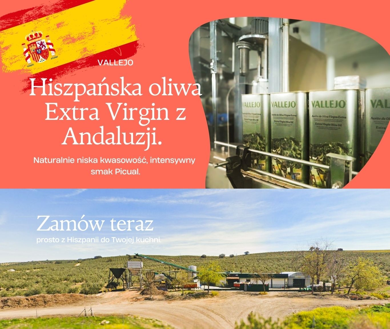 Hero-vallejo-Website.jpg